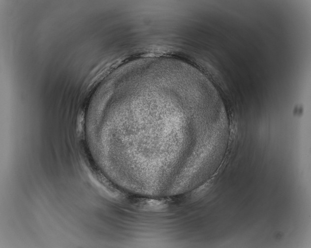 X0000114600166200911161403