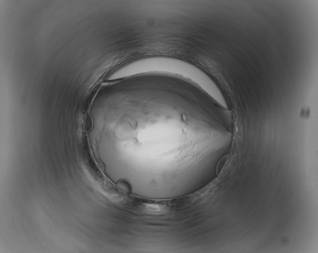 X0000114600167200911161403