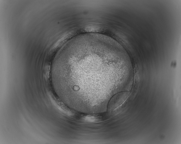 X0000114600171200911161403