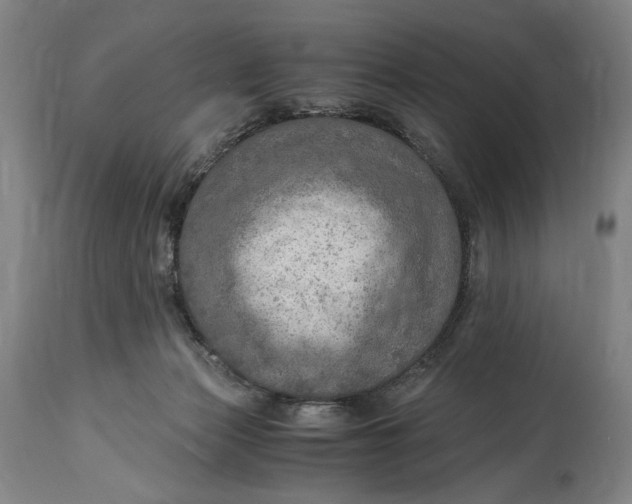 X0000114600173200911161403