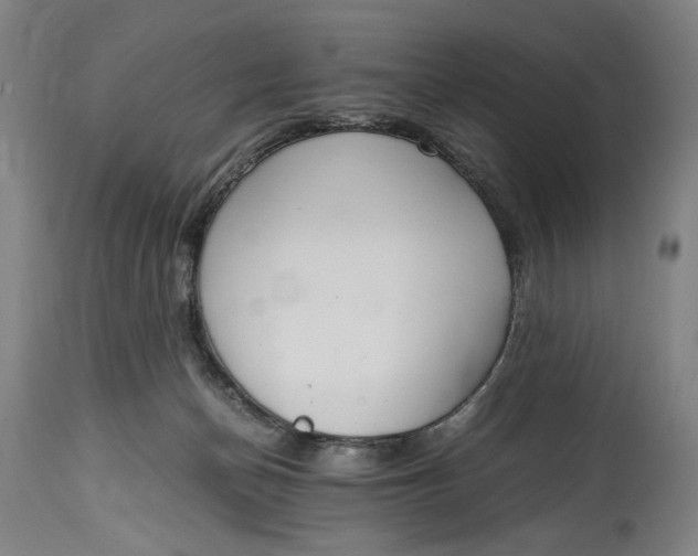 X0000114600174200911161403