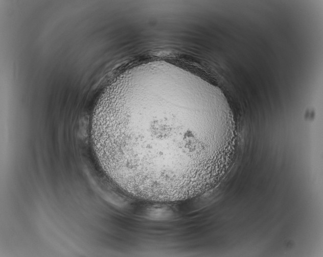 X0000114600175200911161403