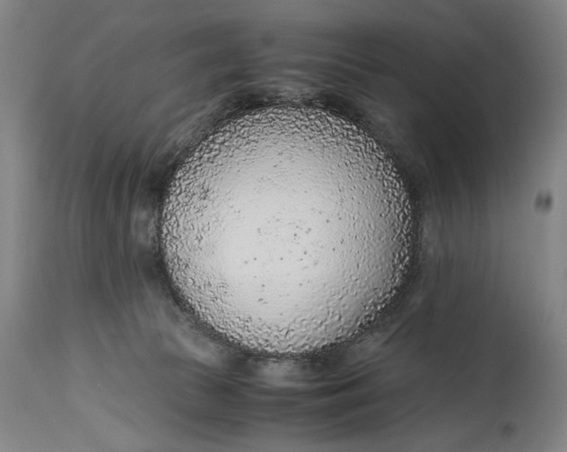 X0000114600177200911161403