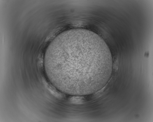 X0000114600179200911161403