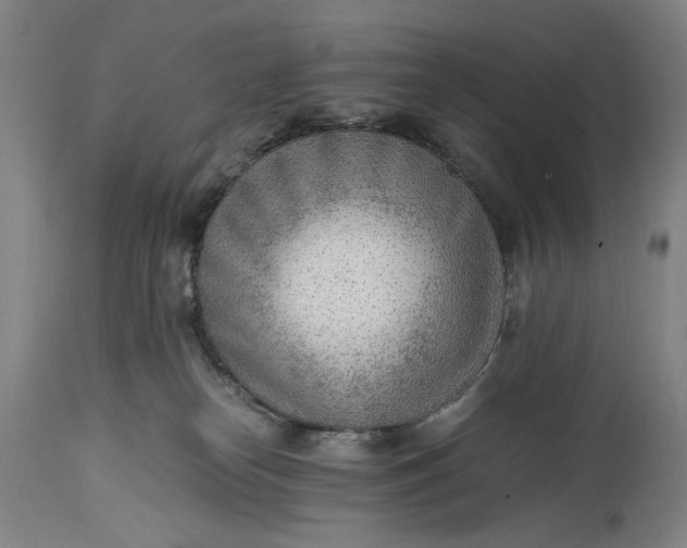 X0000114600182200911161403