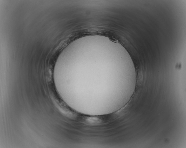 X0000114600183200911161403