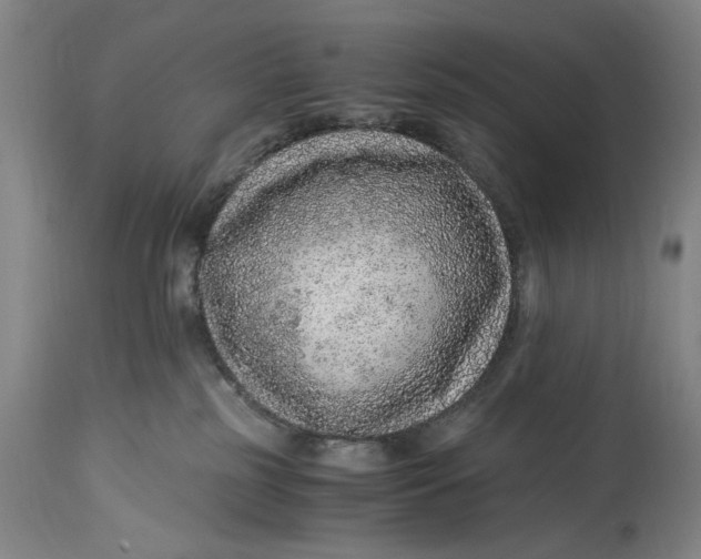 X0000114600185200911161403