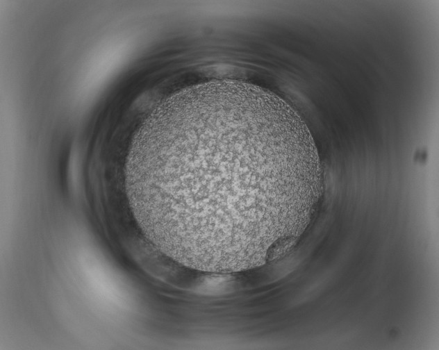 X0000114600189200911161403