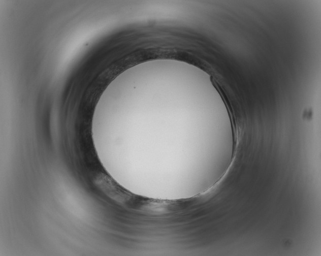 X0000114600190200911161403