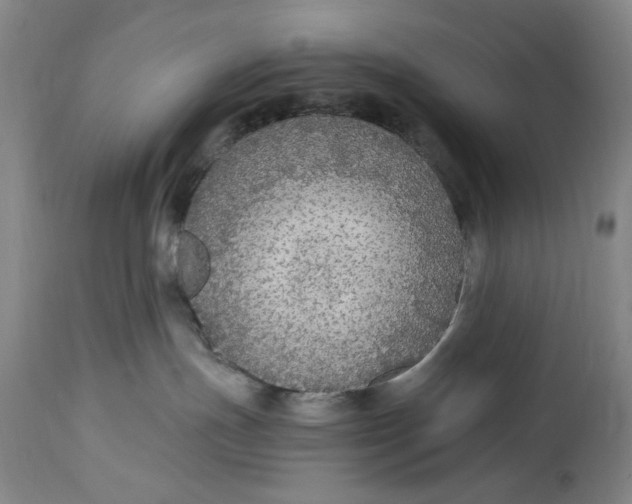 X0000114600191200911161403