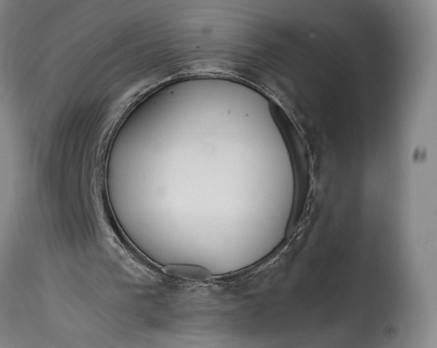 X0000114600193200911161402