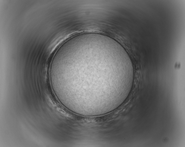 X0000114600194200911161402