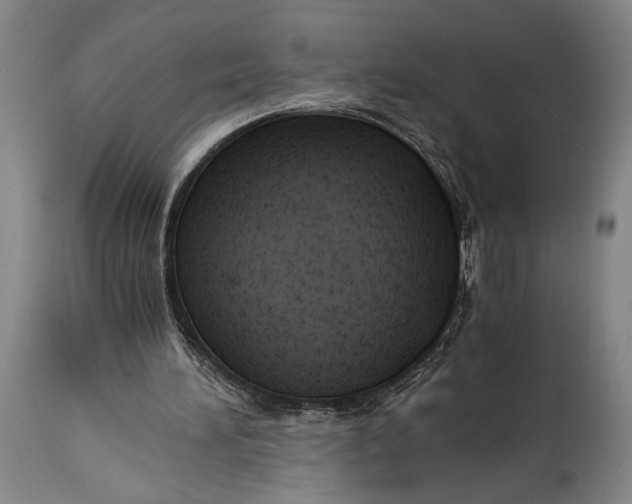 X0000114600196200911161402