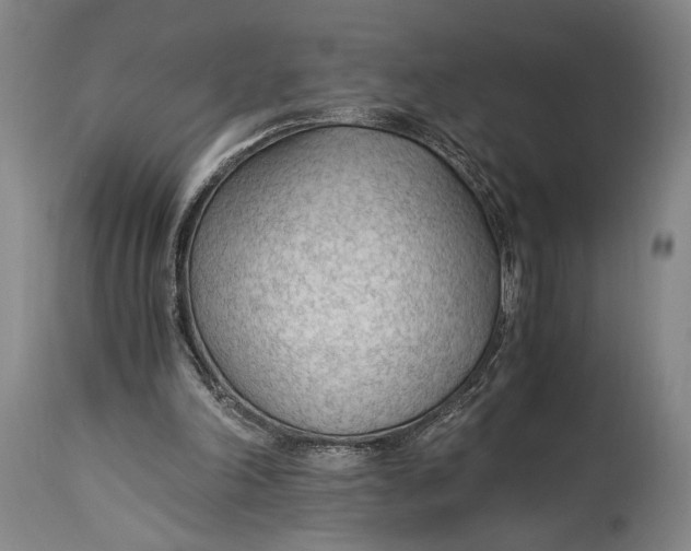 X0000114600198200911161402