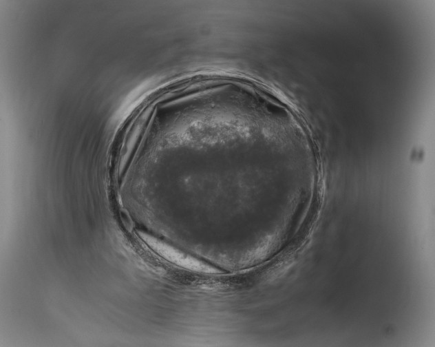 X0000114600199200911161402