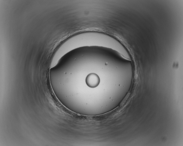 X0000114600201200911161402