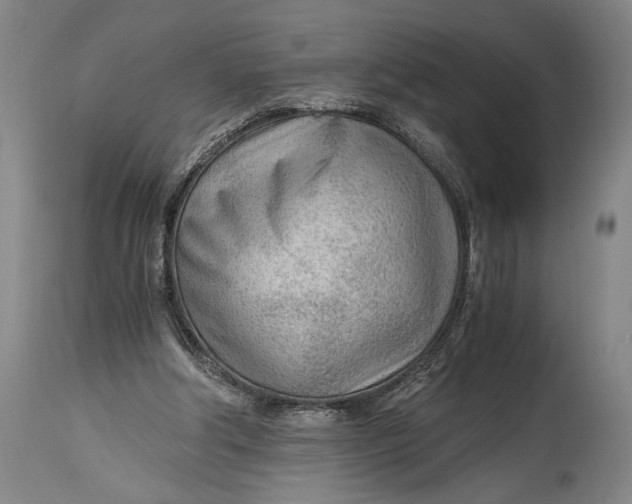 X0000114600202200911161402