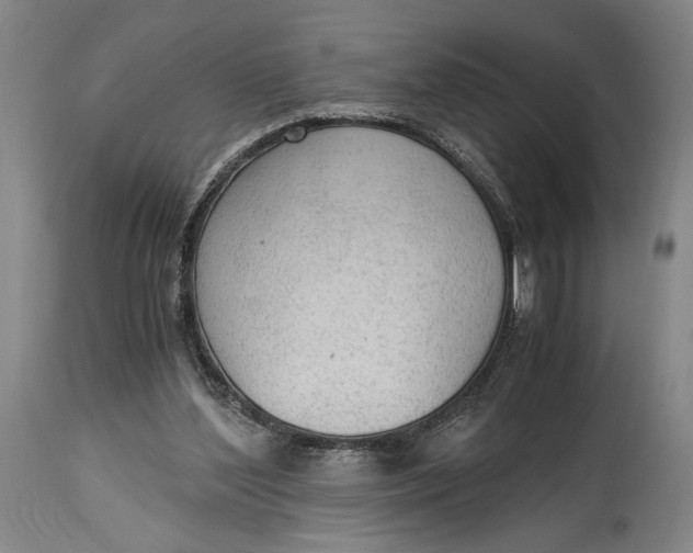 X0000114600204200911161402