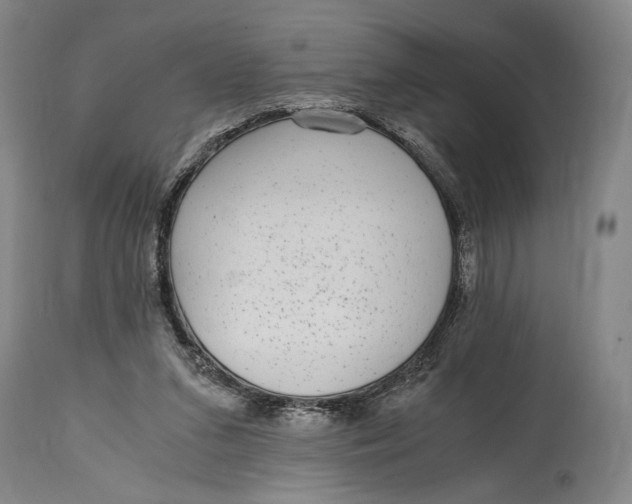 X0000114600207200911161402