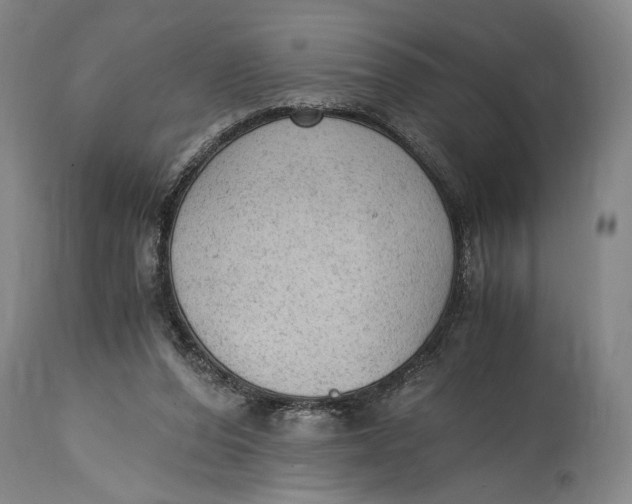 X0000114600208200911161402