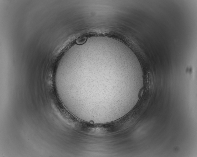 X0000114600212200911161402