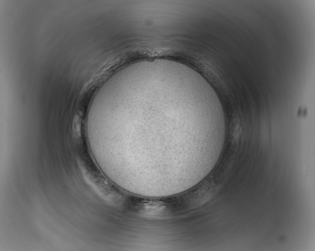 X0000114600214200911161402