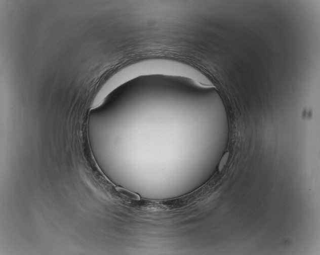 X0000114600215200911161402