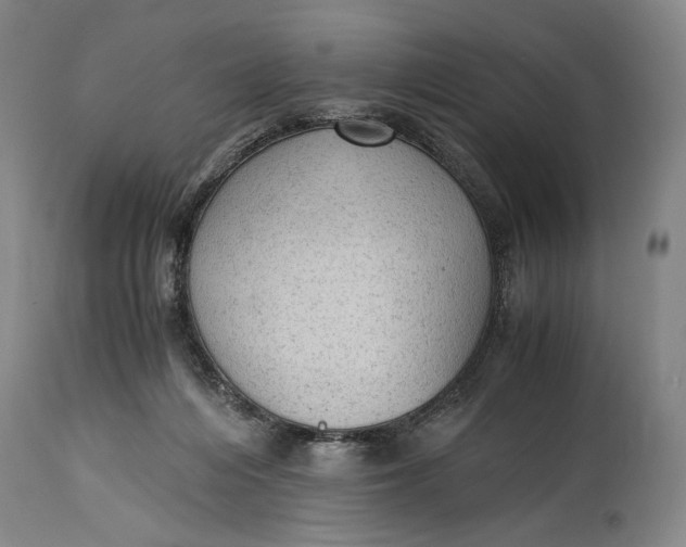 X0000114600216200911161402