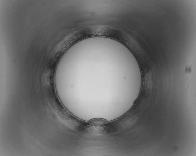 X0000114600217200911161402