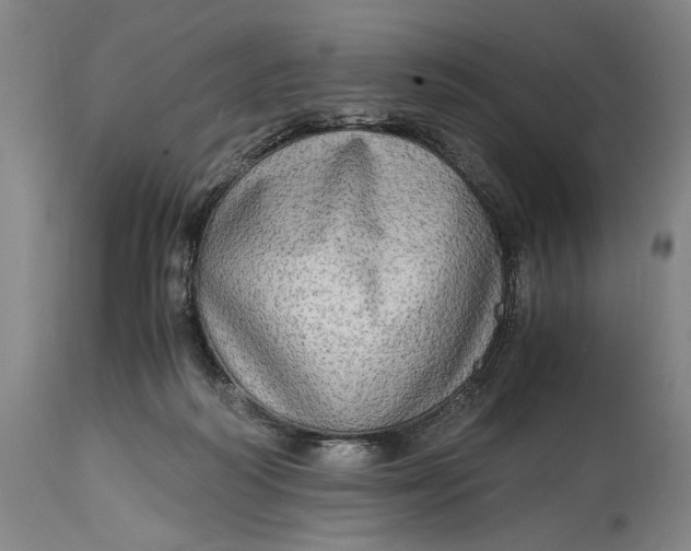 X0000114600218200911161402