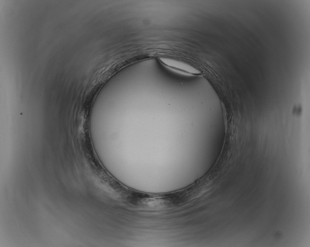 X0000114600219200911161402