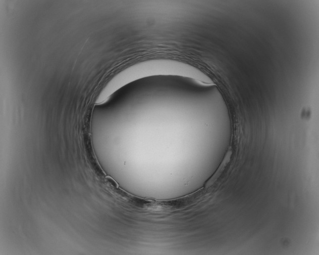 X0000114600221200911161402