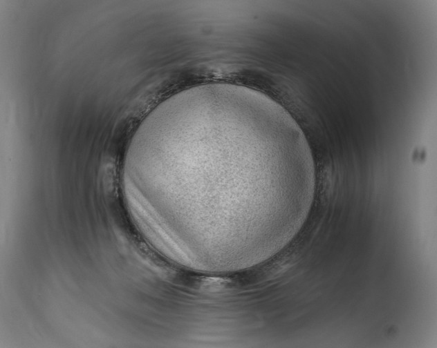 X0000114600222200911161402