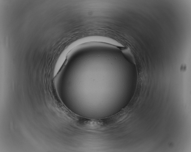 X0000114600223200911161402