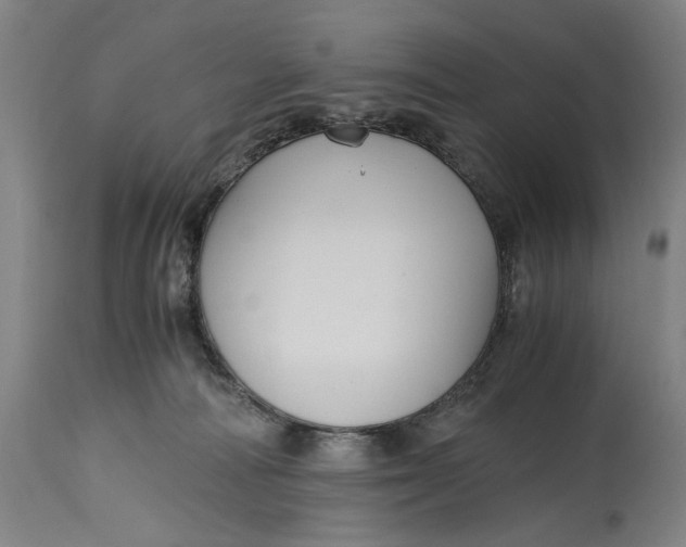 X0000114600226200911161402