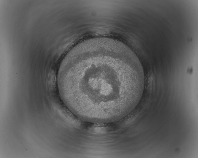 X0000114600228200911161402