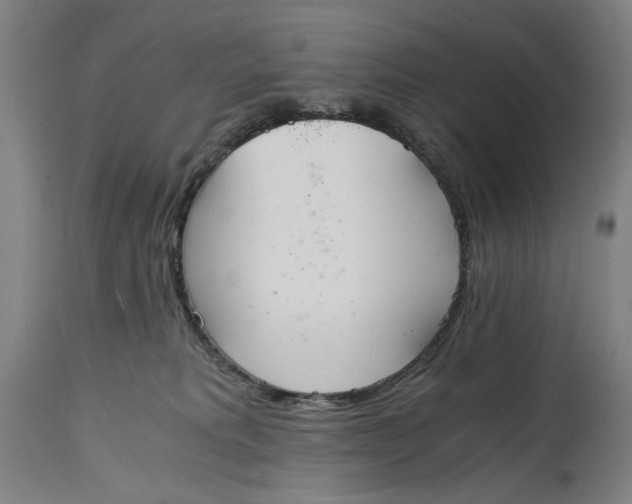 X0000114600229200911161402