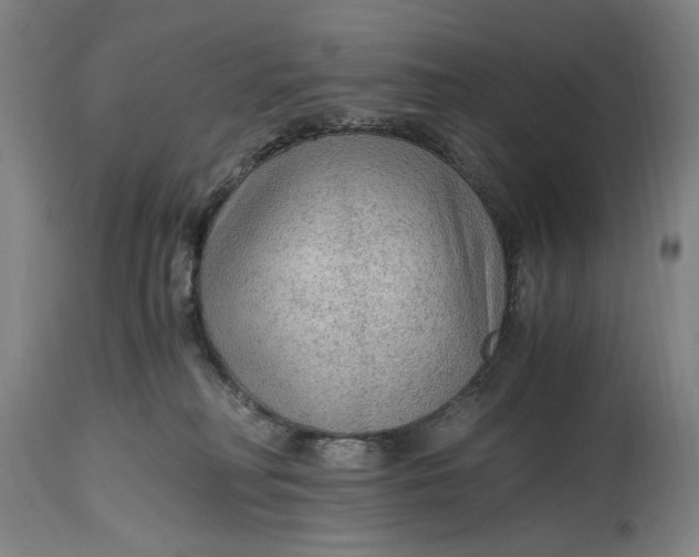 X0000114600230200911161402