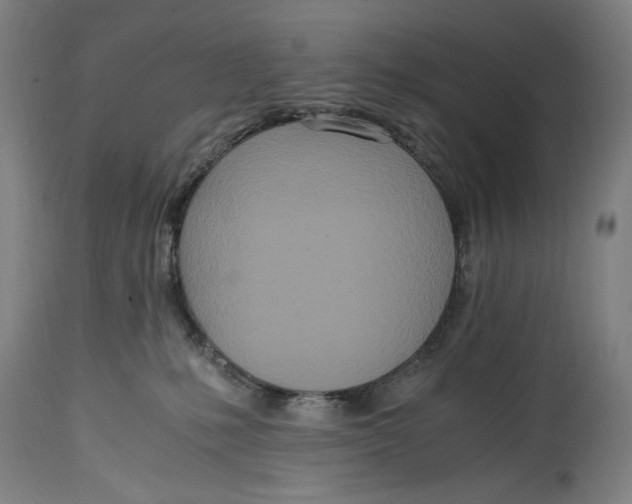 X0000114600231200911161402