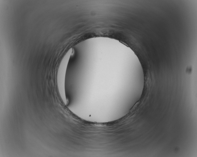 X0000114600233200911161402