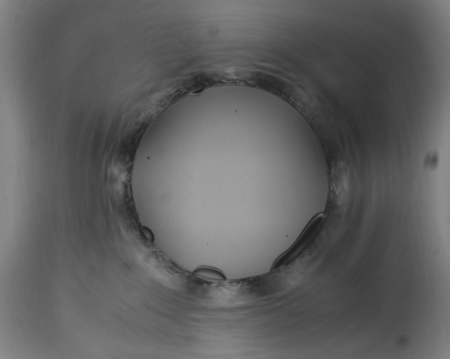 X0000114600235200911161402