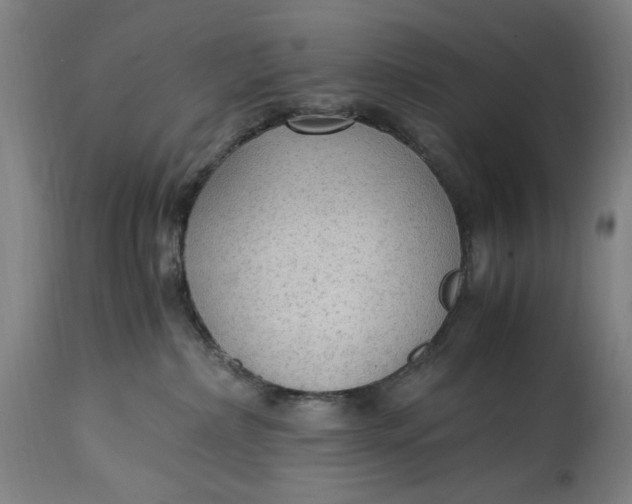 X0000114600236200911161402