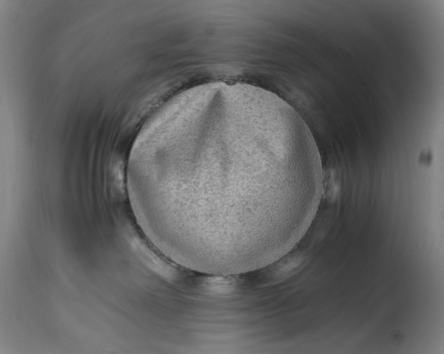 X0000114600238200911161402