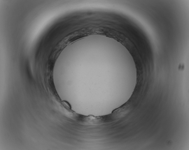 X0000114600239200911161402