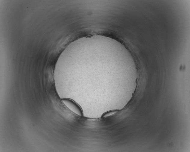 X0000114600240200911161402