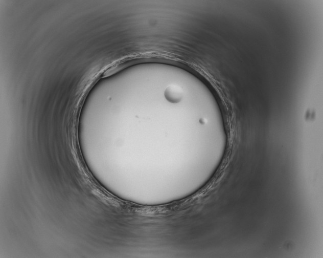 X0000114600241200911161401