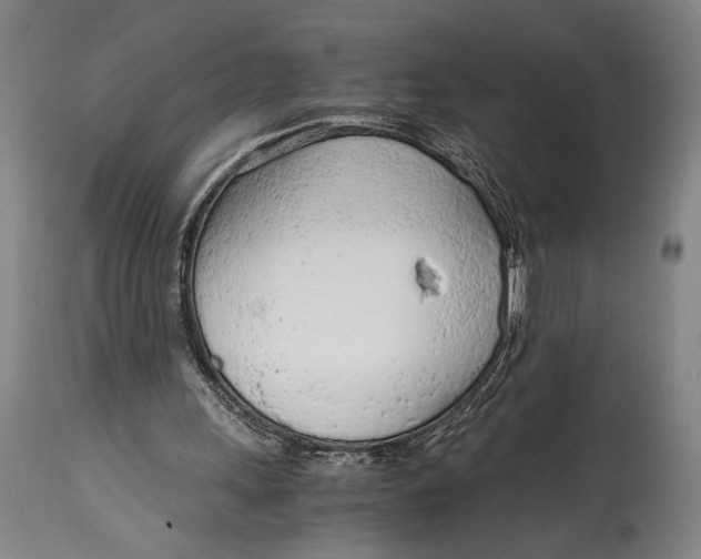 X0000114600243200911161401