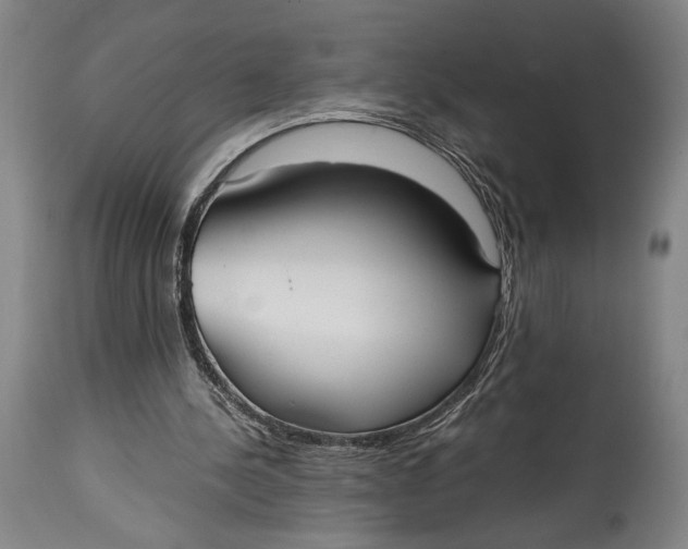 X0000114600244200911161401