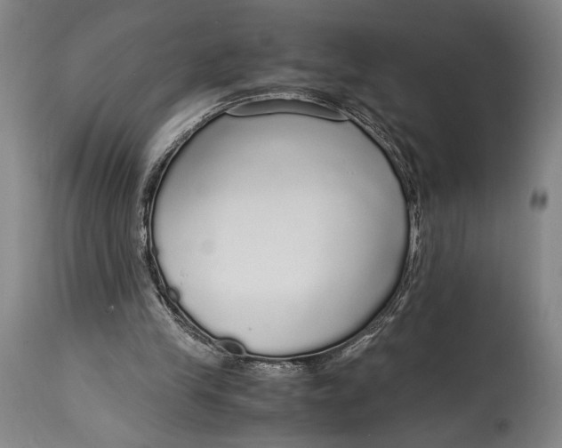 X0000114600245200911161401