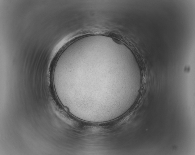 X0000114600246200911161401